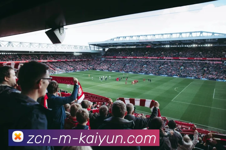 开云APP 高清赛事图